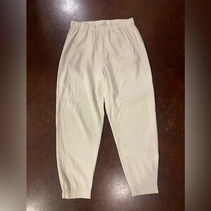 Aritzia Babaton Trousers